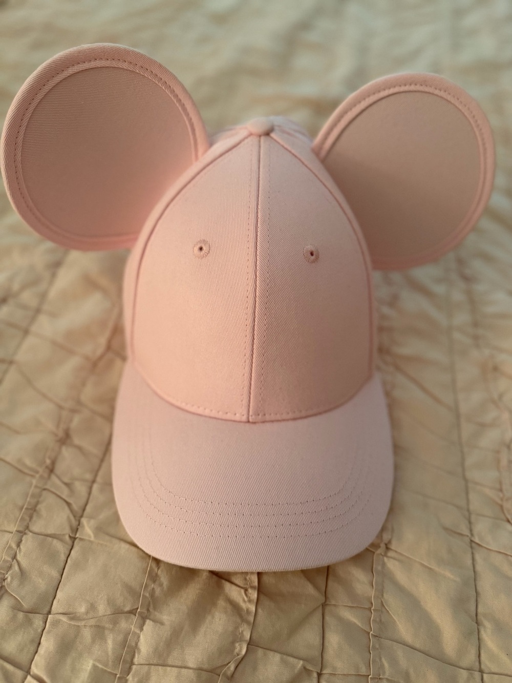 Cakeworthy Pink Mickey Ear Hat